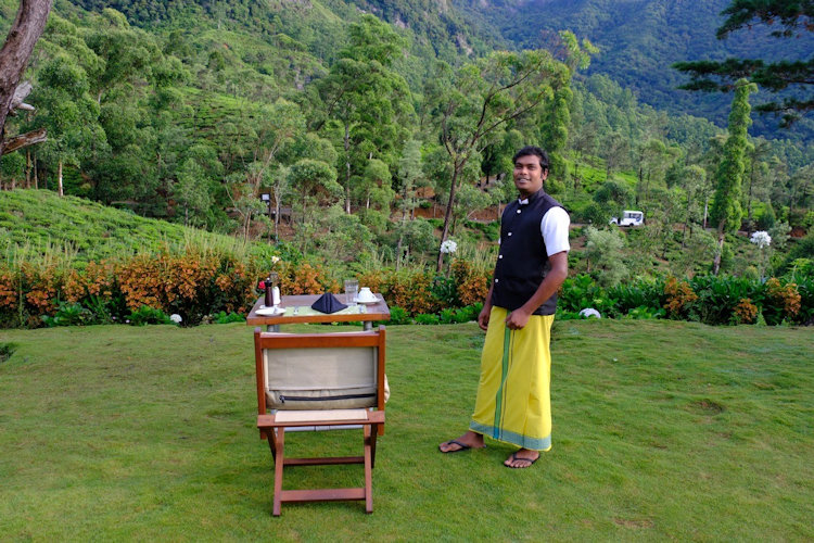 Sri Lanka tea plantation